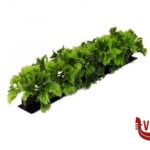 0 LUXURY PARSLEY GARNISH BLACK BASE 250MM. CONFEZIONE 6 PZ. GB35 DALEBROOK SUPPLIES LIMITED