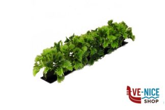 0 LUXURY PARSLEY GARNISH BLACK BASE 250MM. CONFEZIONE 6 PZ. GB35 DALEBROOK SUPPLIES LIMITED