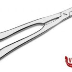 utensili vari PINZA ARAGOSTA ACCIAIO FORGIATO CM 20,6 PINTI INOX