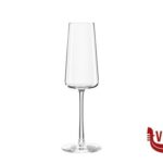 vetro cristallino POWER - CALICE FLUT CHAMPAGNE CL. 24 1590029 STOLZLE LAUSITZ GMBH