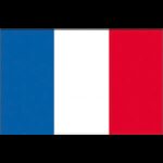 Adria Bandiere Bandiere in Tessuto BANDIERA FRANCIA CM.80X120