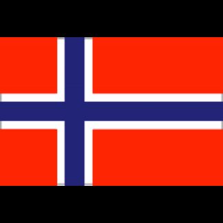 Adria Bandiere Bandiere in Tessuto BANDIERA NORVEGIA CM.20X30