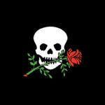 Adria Bandiere Bandiere in Tessuto BANDIERA OSPITE A BORDO CM.20X30