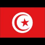 Adria Bandiere Bandiere in Tessuto BANDIERA TUNISIA CM.20X30