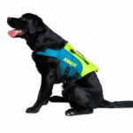 Jobe Aiuto al galleggiamento Jobe PET VEST TG. L