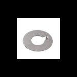 ENRICO POLIPODIO RONDELLA INOX Ø MM.55 (acq.min. unità)