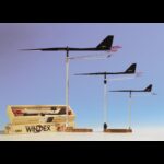 Windex Segnavento Windex SEGNAVENTO WINDEX DINGHY