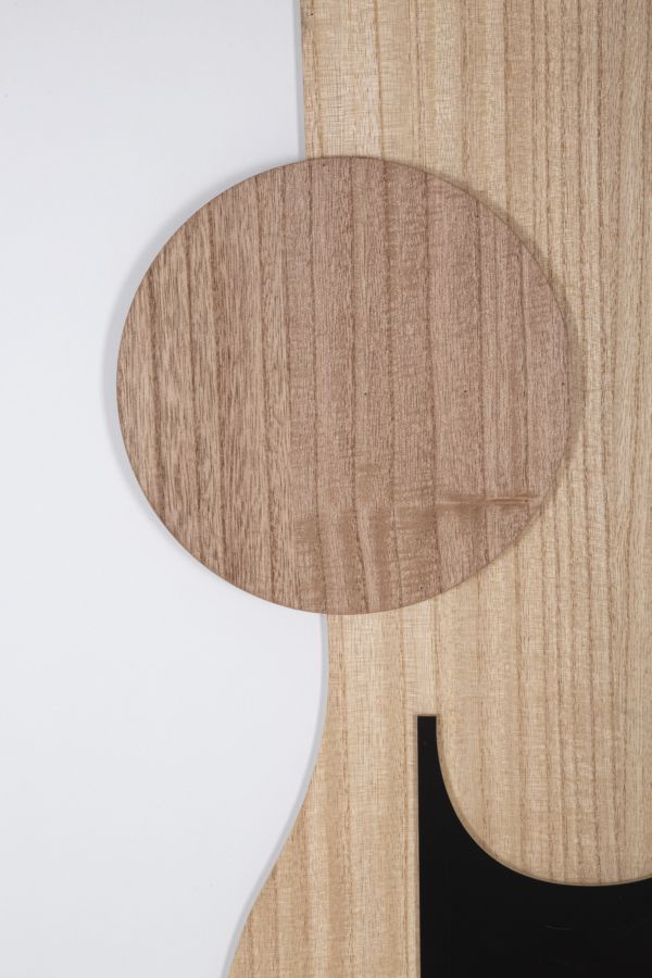 PANNELLO DA MURO ASTRY -B- CM 60X2X80 stile MODERN - immagine 3