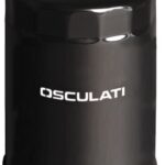 Osculati 17.501.13 Filtro Olio Yanmar 12769535150 filtri olio aria gasolio per motori