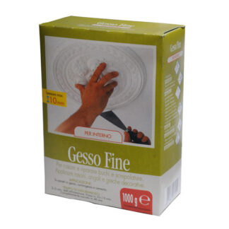 GESSO g 5000                            LINEA PIU'  STUCCO                       F