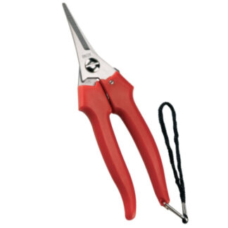 FORBICE COGLIUVA 190 PUNTA 31329 AUSONIA 031329 FORBICI UVA F