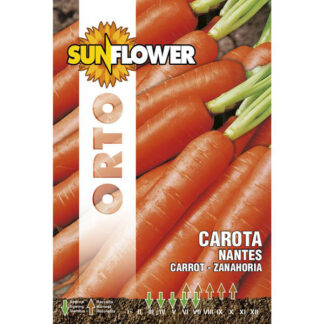 SEMENTI CAROTA NANTES SUNFLOWER SNO 23/7 SEMENTI F