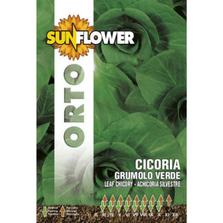 SEMENTI CICORIA GRUMULO VERDE SUNFLOWER SNO 40/2 SEMENTI F