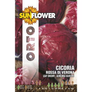 SEMENTI CICORIA ROSSA DI VERONA SUNFLOWER SNO 40/13 SEMENTI F