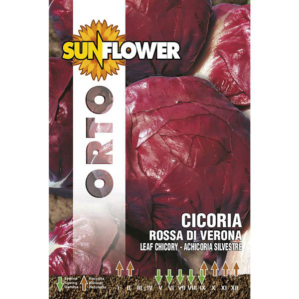 SEMENTI CICORIA ROSSA DI VERONA SUNFLOWER SNO 40/13 SEMENTI F