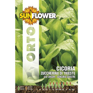 SEMENTI CICORIA ZUCCHERINA DI TRIESTE SUNFLOWER SNO 40/18 SEMENTI F