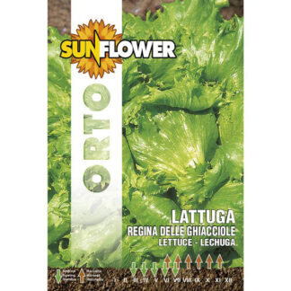 SEMENTI LATTUGA REGINA DELLE GHIACCIOLE SUNFLOWER SNO 86/8 SEMENTI F