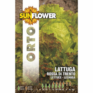 SEMENTI LATTUGA ROSSA DI TRENTO SUNFLOWER SNO 86/33 SEMENTI F