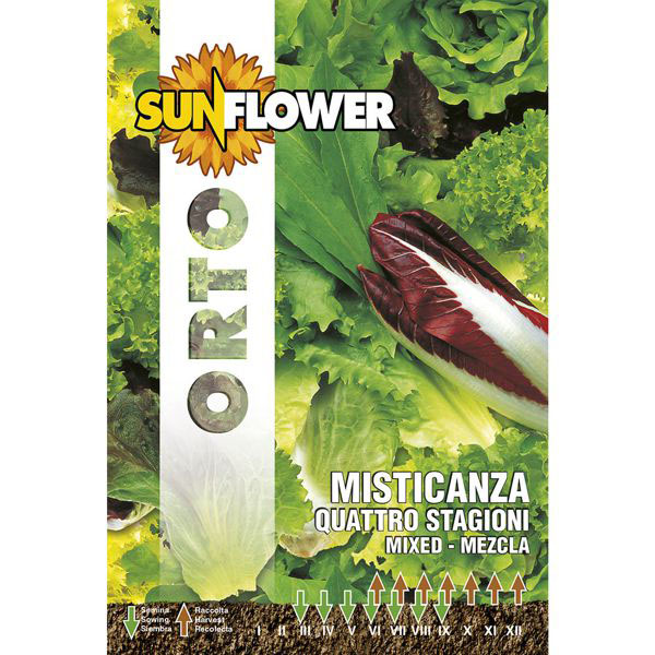 SEMENTI MISTICANZA QUATTRO STAGIONI SUNFLOWER SNO 93/4 SEMENTI F