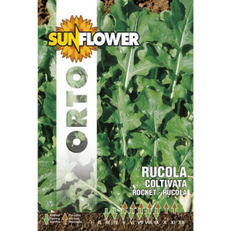 SEMENTI RUCOLA COLTIVATA FOGLIA LARGA SUNFLOWER SNO 115/1 SEMENTI F