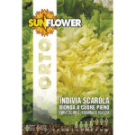SEMENTI INDIVIA E SCAROLA                SUNFLOWER SNO 121/2 SEMENTI                      F