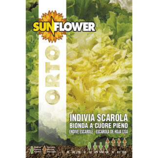 SEMENTI INDIVIA E SCAROLA SUNFLOWER SNO 121/2 SEMENTI F