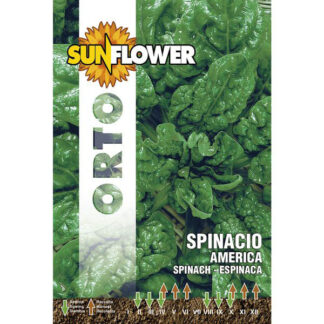 SEMENTI SPINACIO AMERICA SUNFLOWER SNO 127/18 SEMENTI F