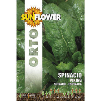 SEMENTI SPINACIO VIKING SUNFLOWER SNO 127/16 SEMENTI F