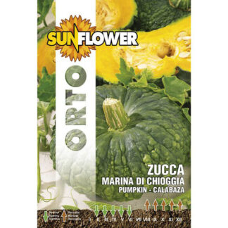 SEMENTI ZUCCA MARINA DI CHIOGGIA SUNFLOWER SNO 145/2 SEMENTI F