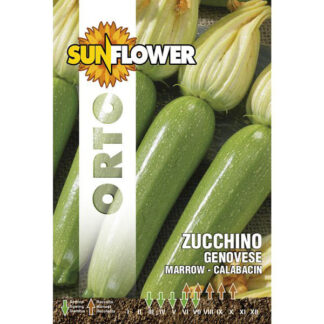SEMENTI ZUCCHINO GENOVESE SUNFLOWER SNO 146/10 SEMENTI F