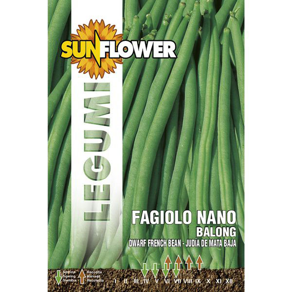 SEMENTI FAGIOLO NANO BALONG SUNFLOWER SNL 59/83 SEMENTI F