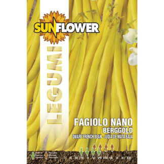 SEMENTI FAGIOLO NANO BERGGOLD SUNFLOWER SNL 60/27 SEMENTI F