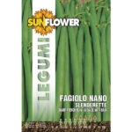 SEMENTI FAGIOLO NANO SLENDERETTE         SUNFLOWER SNL 59/76 SEMENTI                      F
