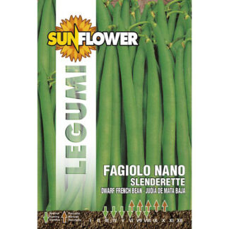 SEMENTI FAGIOLO NANO SLENDERETTE SUNFLOWER SNL 59/76 SEMENTI F