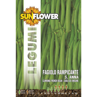SEMENTI FAGIOLO RAMPICANTE SANT'ANNA SUNFLOWER SNL 57/4 SEMENTI F
