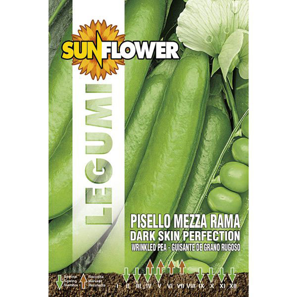 SEMENTI PISELLO MEZZA RAMA PERFECTION SUNFLOWER SNL 104/11 SEMENTI F