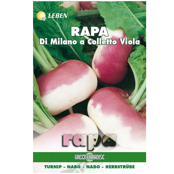SEMENTI RAPA MILANO COLLETTO VIOLA LEBEN LBO 110/14 SEMENTI F