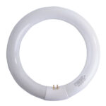 LAMPADA FLUORESCENTE T9 W32 CIRCOLARE        AIRAM LR322T LAMPADINE                    F