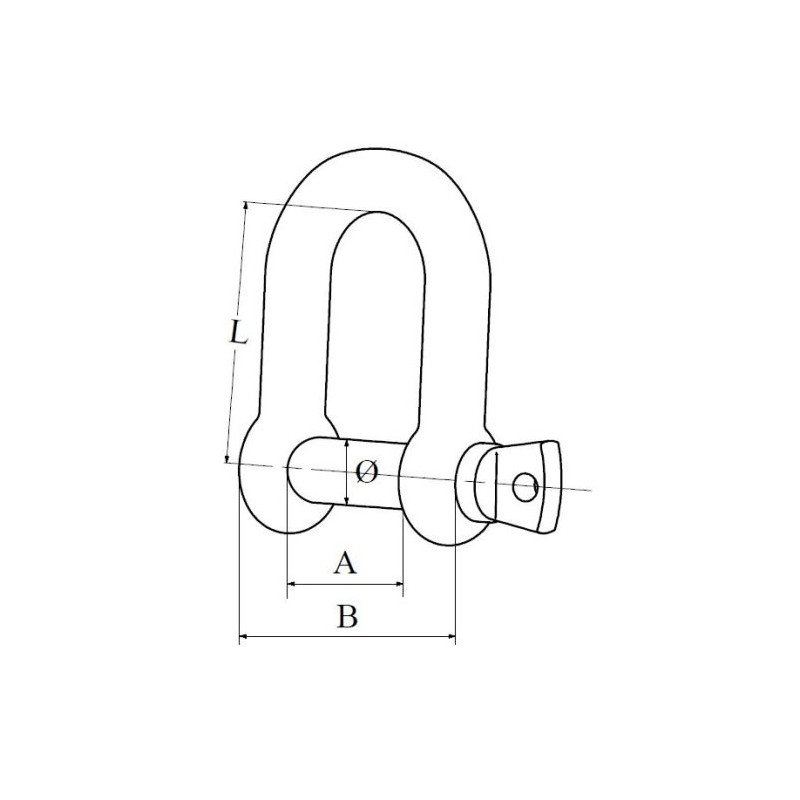 Plastimo GRILLO A D ø4 MM - 20PZ (acq.min. unità) - immagine 2
