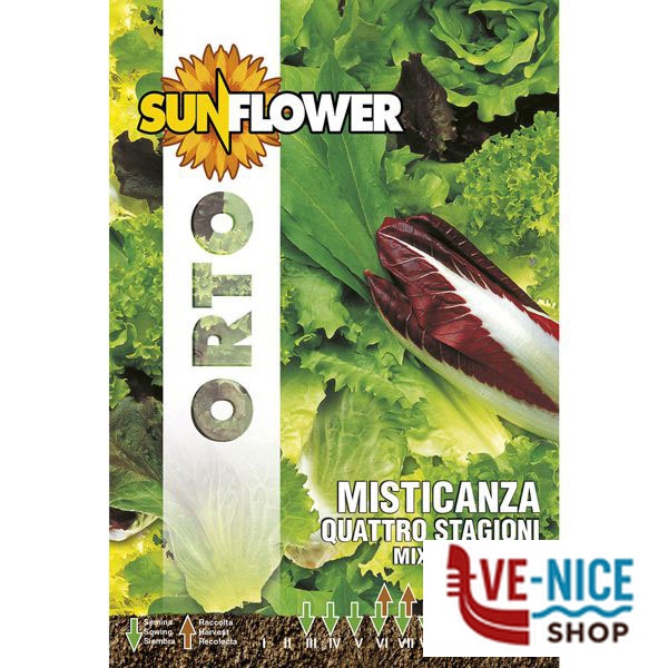 SEMENTI MISTICANZA QUATTRO STAGIONI SUNFLOWER SNO 93/4 SEMENTI F - immagine 2