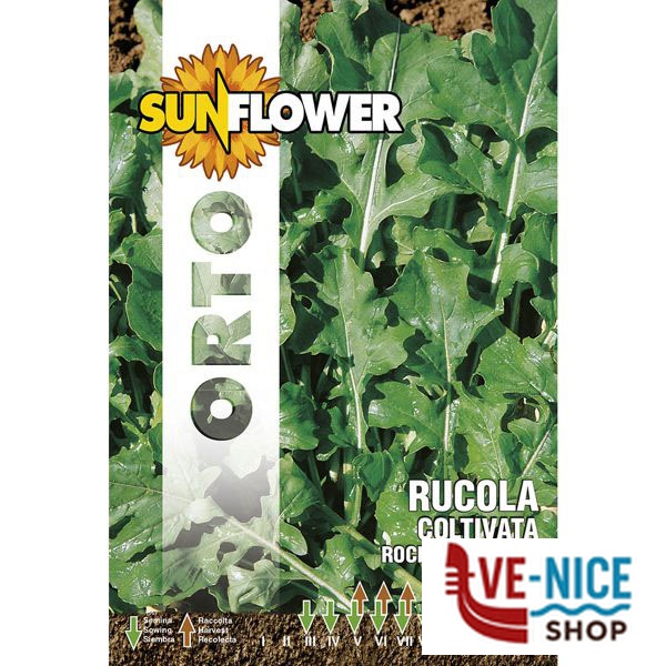 SEMENTI RUCOLA COLTIVATA FOGLIA LARGA SUNFLOWER SNO 115/1 SEMENTI F - immagine 2