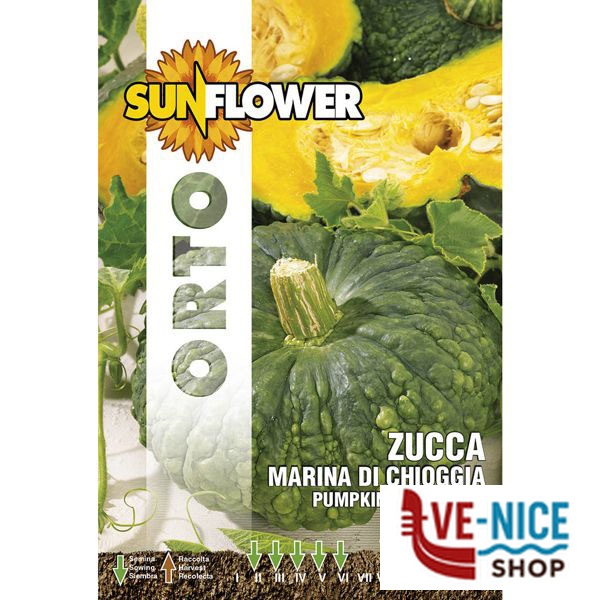 SEMENTI ZUCCA MARINA DI CHIOGGIA SUNFLOWER SNO 145/2 SEMENTI F - immagine 4