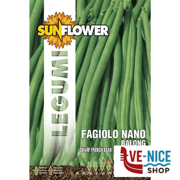 SEMENTI FAGIOLO NANO BALONG SUNFLOWER SNL 59/83 SEMENTI F - immagine 4
