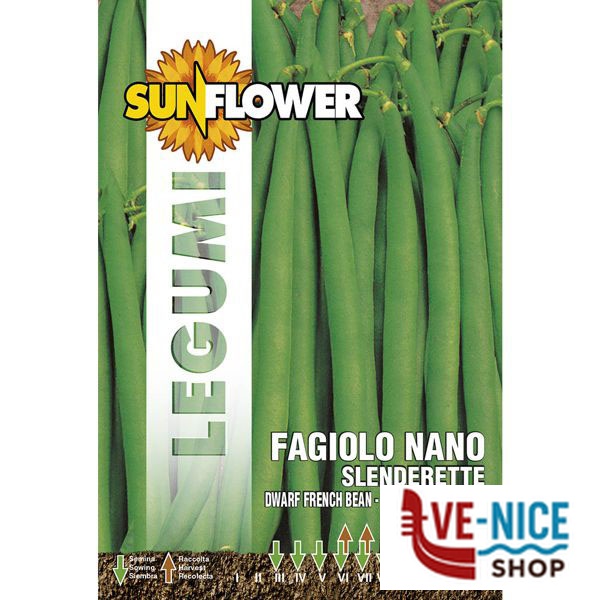 SEMENTI FAGIOLO NANO SLENDERETTE SUNFLOWER SNL 59/76 SEMENTI F - immagine 4