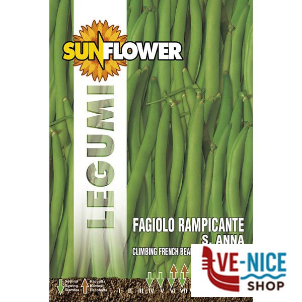 SEMENTI FAGIOLO RAMPICANTE SANT'ANNA SUNFLOWER SNL 57/4 SEMENTI F - immagine 3
