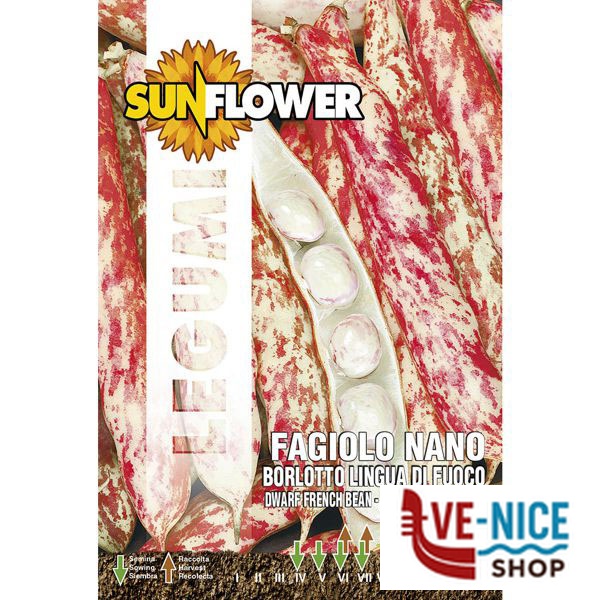 SEMENTI FAGIOLO BORLOTTO NANO SUNFLOWER SNL 56/6 SEMENTI F - immagine 4