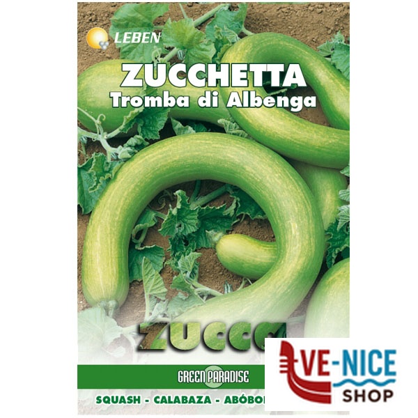 SEMENTI ZUCCHETTA TROMBA D'ALBENGA LEBEN LBO 146/42 SEMENTI F - immagine 4