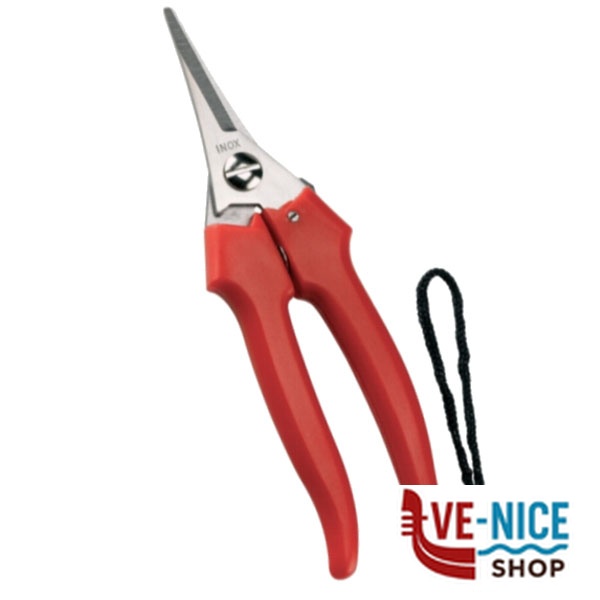 FORBICE COGLIUVA 190 PUNTA 31329 AUSONIA 031329 FORBICI UVA F - immagine 5