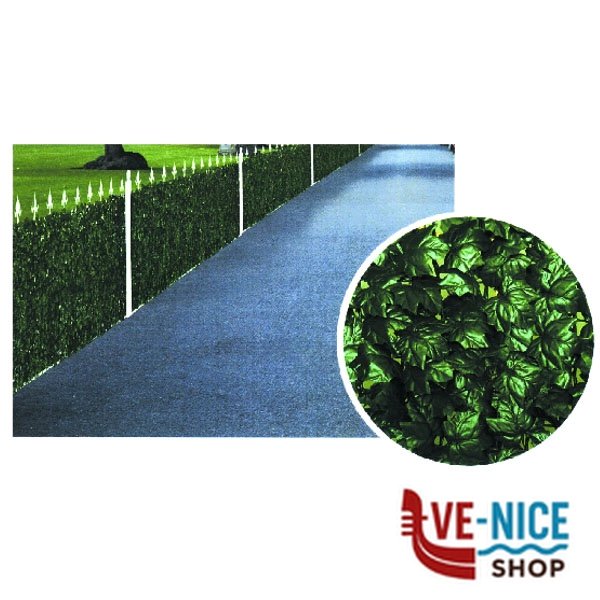 SIEPE EDERA h 100 m 20 TREX 06231 MZ8028 SIEPI F - immagine 5
